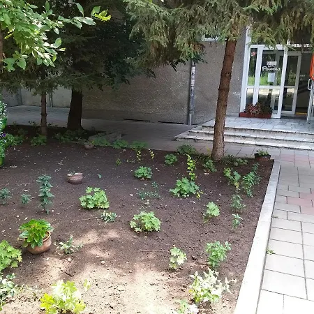 호텔 Rositsa